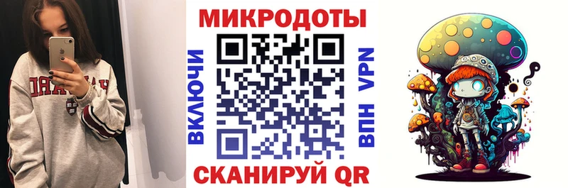 KRAKEN   Гаврилов Посад  Псилоцибиновые грибы Psilocybe 